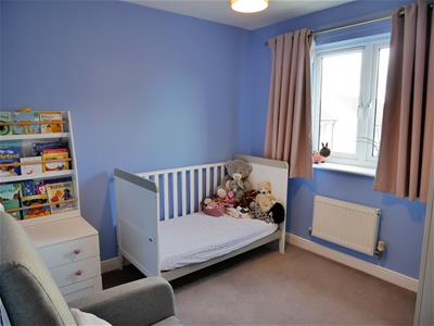 Picture 7